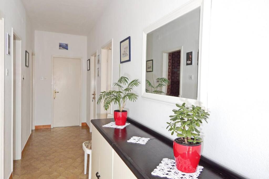 Apartment Eli Pag Town Exteriör bild